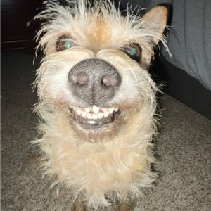 Meet your Posher, Dave